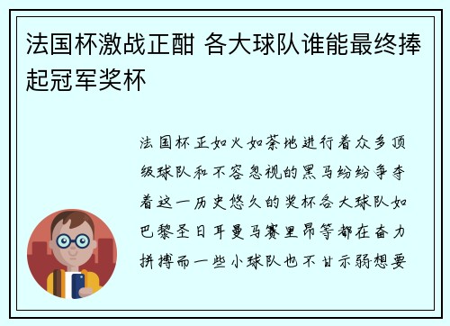 法国杯激战正酣 各大球队谁能最终捧起冠军奖杯